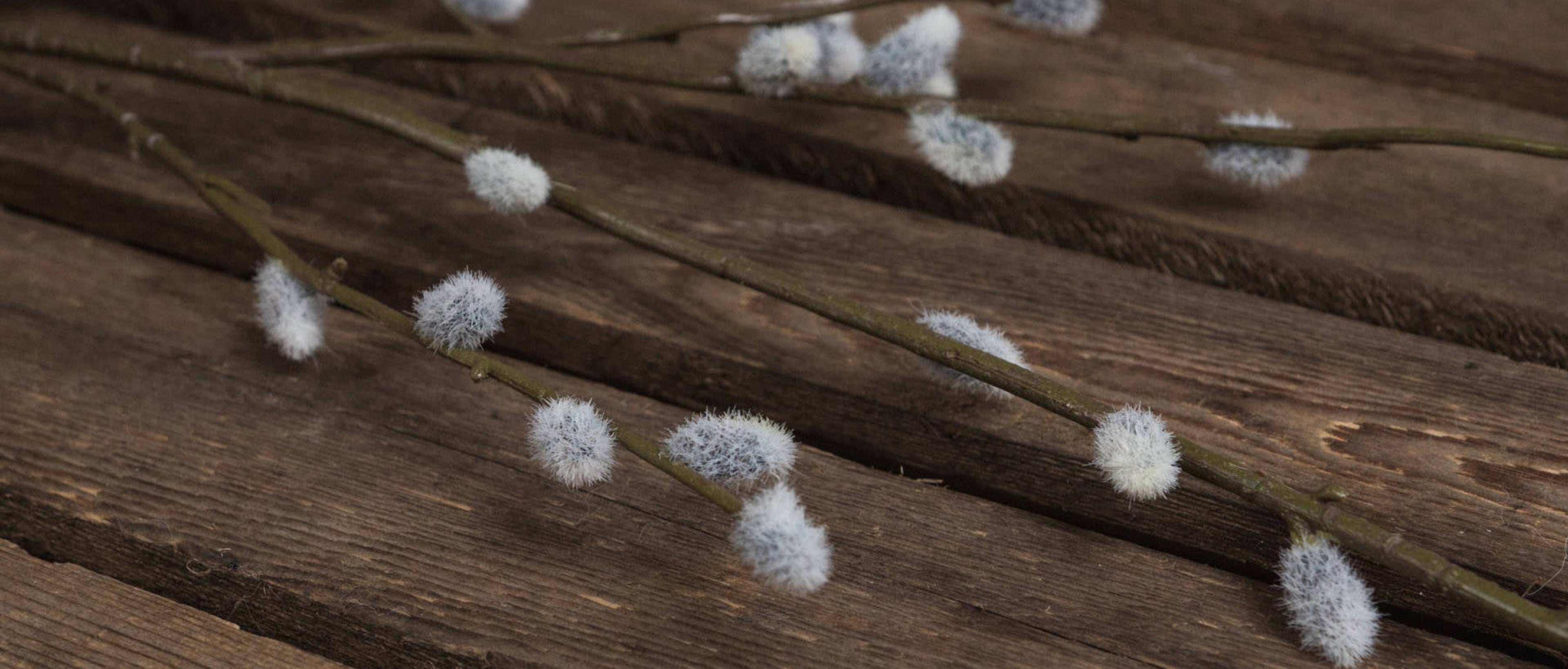 Faux Pussy Willow Botanical Stem