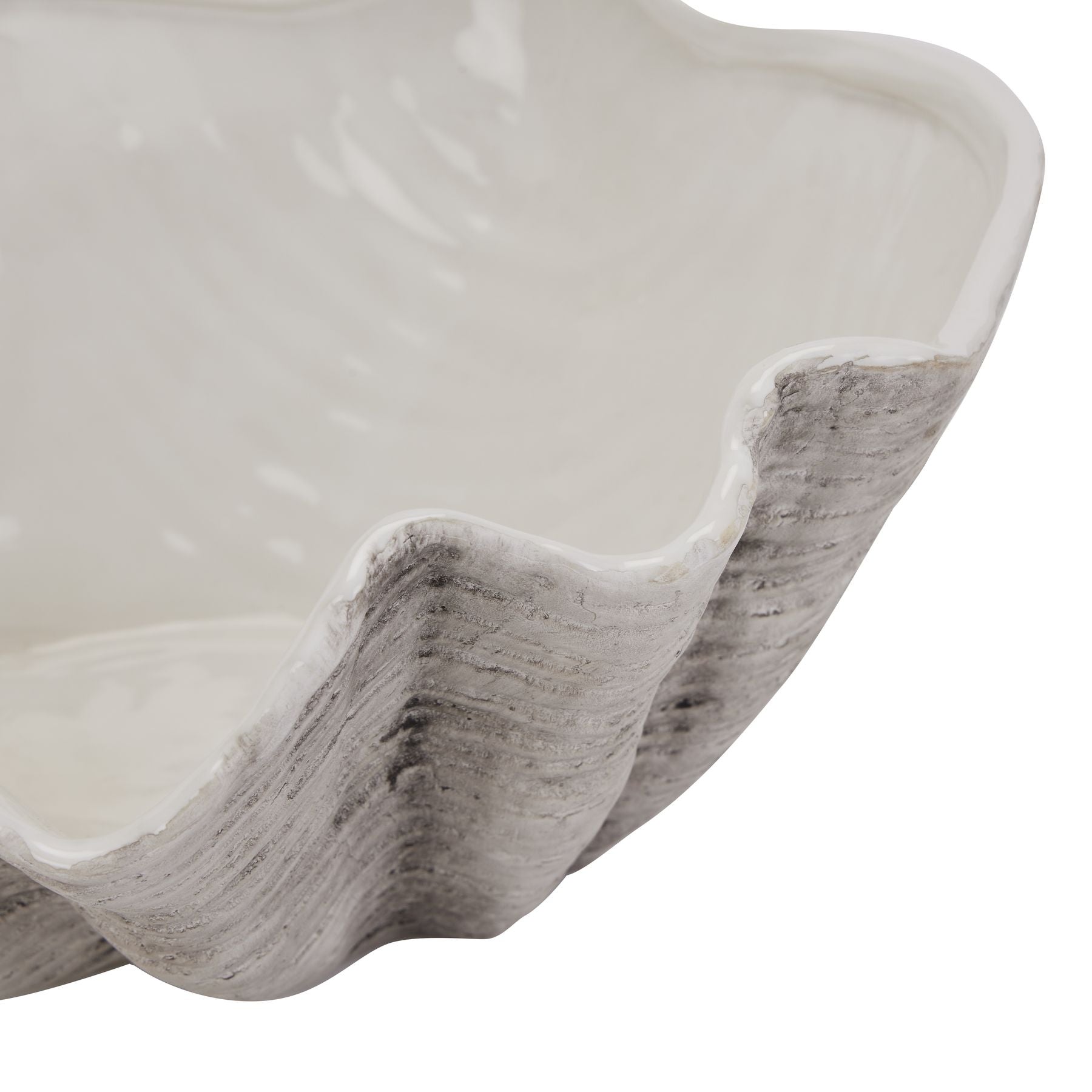 Nautilus Large Shell Accent Bowl