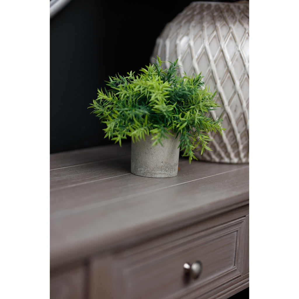 Potted Kyoto Bamboo in Stone Grey