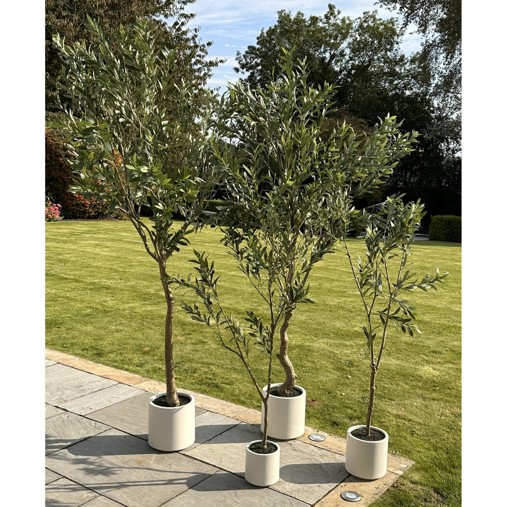 Mediterranean Faux Olive Tree